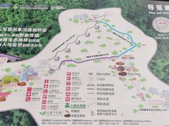 -野象谷景区