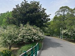 -白塘生态植物园