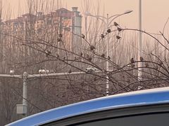 -老街称盘麻辣烫(印象城店)