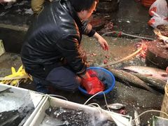 -树木岭集贸市场(劳动东路)