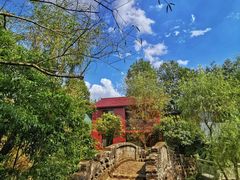 -磐安舞龙峡景区