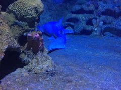 -厦门海底世界