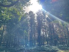 -月湖风景区