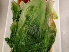 -金鼎轩(方庄天坛店)
