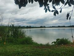 -鹤之洲湿地公园