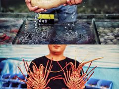 -明记海鲜大排档(巽寮湾店)