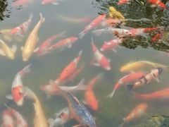 -青岛鑫江温德姆酒店
