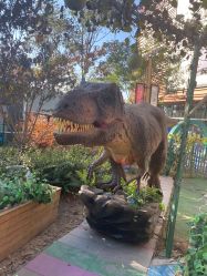 -萌宠亲子动物乐园(槐房万达店)