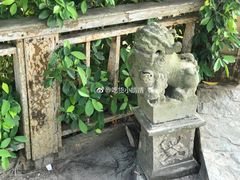 -东郊椰林