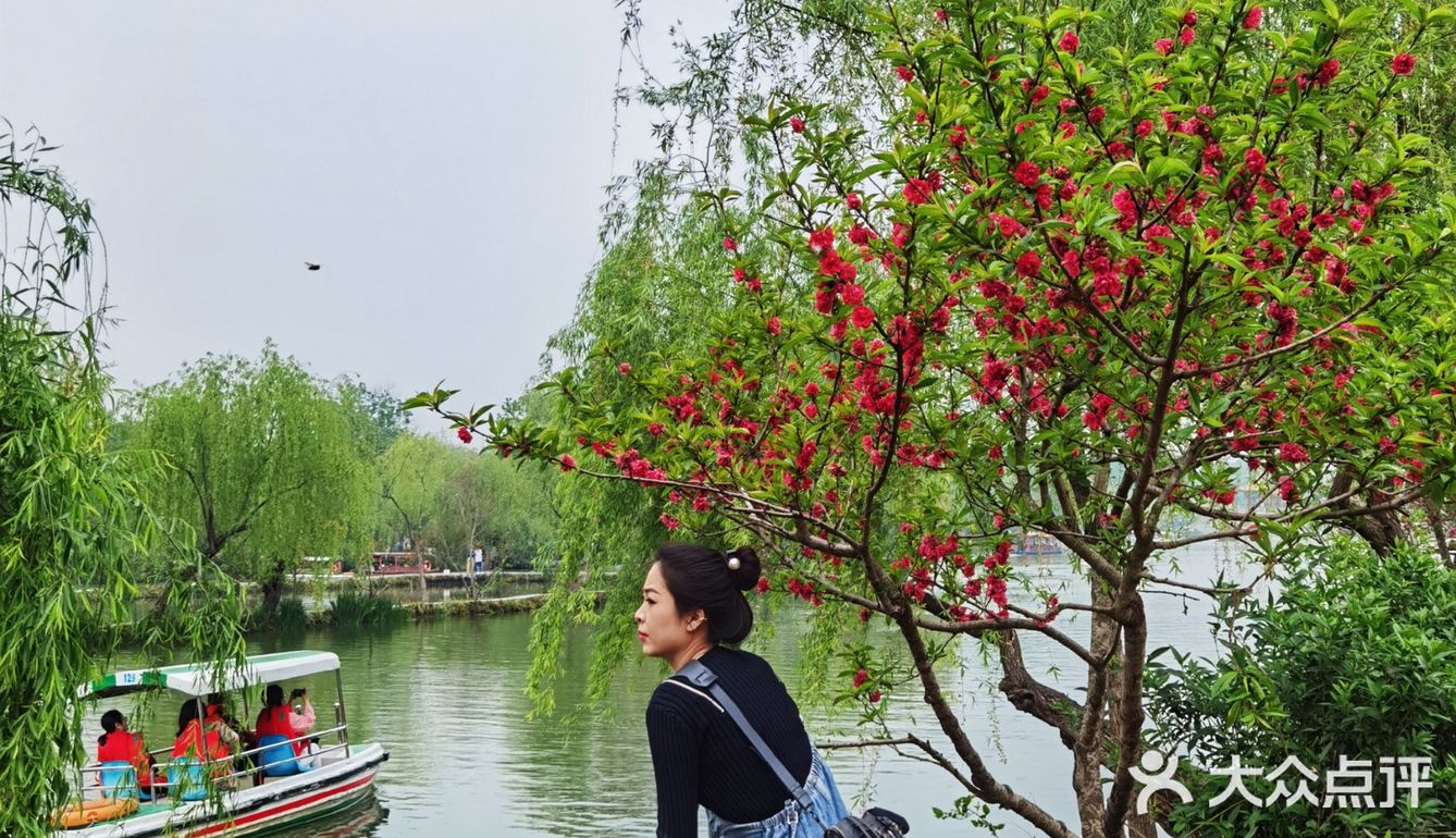 扬州这副画好美，自然之美展现华夏民族魅力！🌿🍀