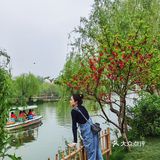 扬州这副画好美，自然之美展现华夏民族魅力！🌿🍀