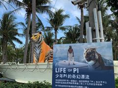 -白沙湾海滩