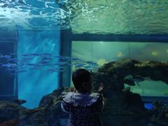 -常州海昌海洋探索馆