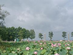 -滆湖低碳生态公园