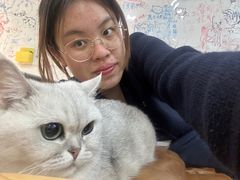 -李小姐の猫咖啡馆(五角场店)