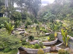 -南宁荔园维景国际酒店·荔园中餐厅