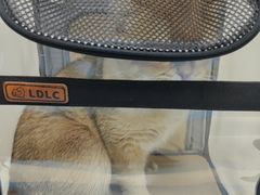 -达爱动物医院·犬猫分区·CT·复杂眼科(远洋山水分院)