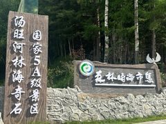 -汤旺河林海奇石景区