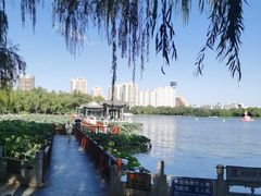 -莲花池公园