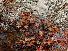 -田野绿世界