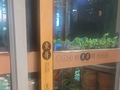 -东哥紫阳蒸盆子(旺座·现代城店)