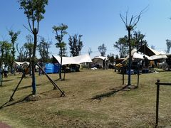 -春花秋色城市公园