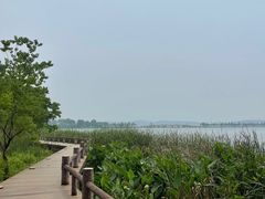 -东湖落雁景区