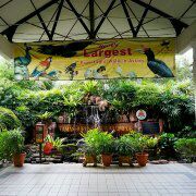-吉隆坡雀鸟公园
