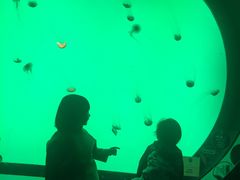 -沈阳海洋探索中心