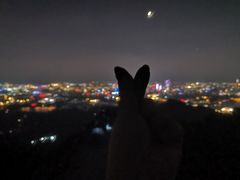 -紫金山山顶公园