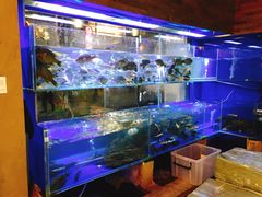 水产区-德叔阙里·衢州菜馆(月湖店)