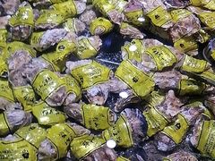 -聚盛源蒸汽海鲜火锅烤肉自助(巨川金海岸购物广场店)