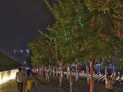 -南京眼步行桥