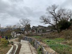 -塔川景区