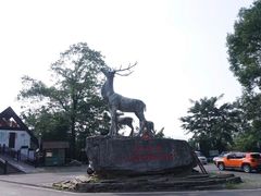 -长沙黑麋峰国家森林公园