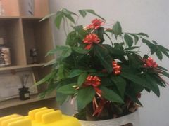 -领享养生会所·采耳·SPA按摩(厦门吕厝店)