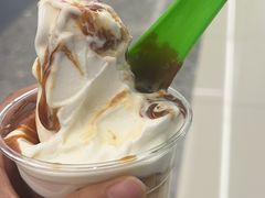 -Salud撒露欧洲冻酸奶(五道口购物中心店)