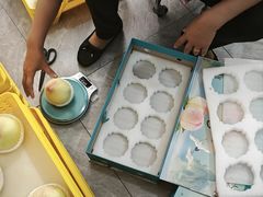 -老袁家蜜桃农场·阳山水蜜桃