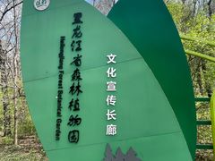 -黑龙江省森林植物园