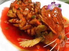 松鼠桂鱼-丁老爷子苏香圆