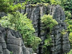 -梭布垭石林景区