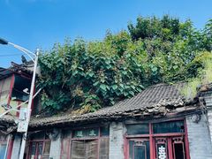 -青州古城