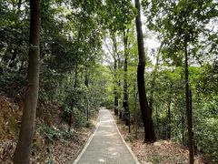 -美足时光•水疗SPA(龙泉店)