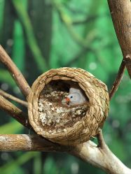 -Zoolung Zoolung动物主题公园(海信广场店)