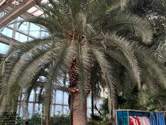 -石家庄市植物园