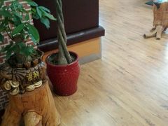 -贝佳乐披萨汉堡(牟平店)