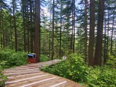 -驼梁风景区