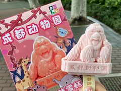 -成都动物园
