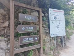 -大岭沟猕猴桃谷风景区