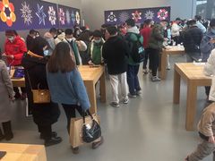-Apple零售店(成都太古里店)